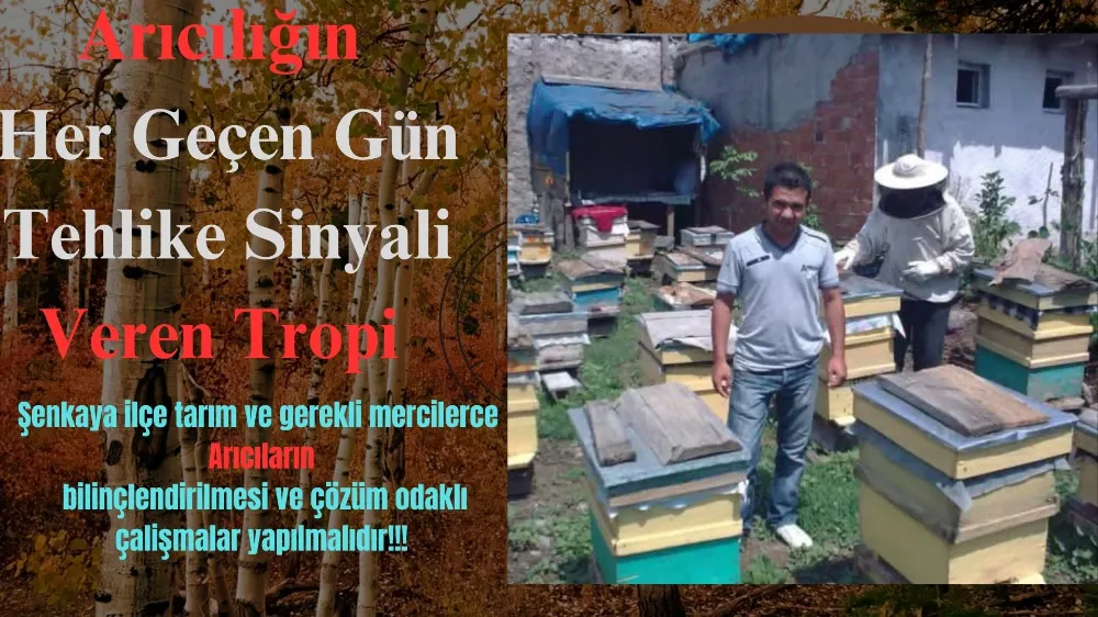 Arıcılığın  Her Geçen Gün Tehlike Sinyali Veren Tropi 