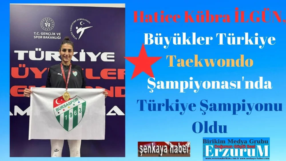 Hatice Kübra İlgün, Büyükler Türkiye Taekwondo Şampiyonası